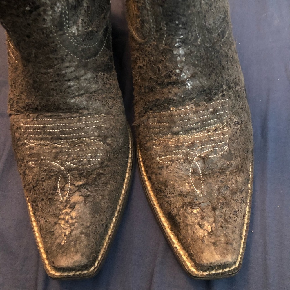 Ariat boots